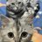 tnkc.1